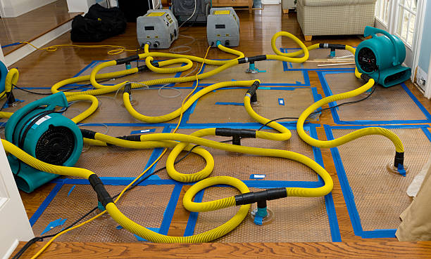 Professional Basement Flood Cleanup technician working in Fowler, CA